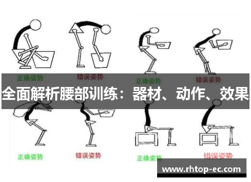 全面解析腰部训练：器材、动作、效果