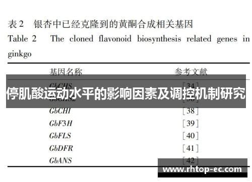 停肌酸运动水平的影响因素及调控机制研究 停肌酸运动水平的影响因素及调控机制研究
