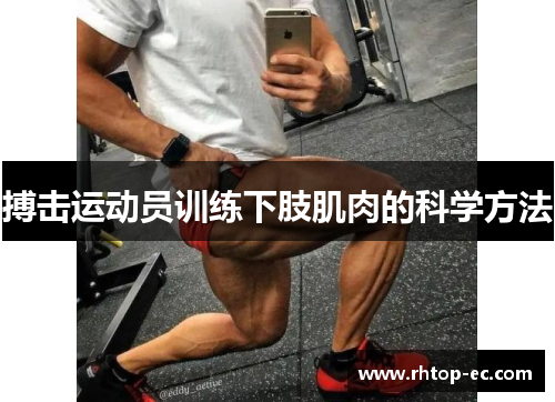 搏击运动员训练下肢肌肉的科学方法