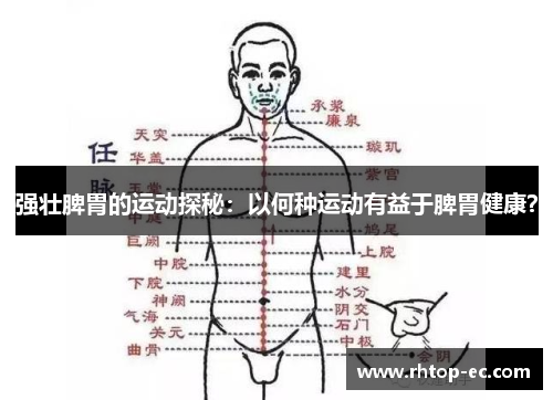 强壮脾胃的运动探秘：以何种运动有益于脾胃健康？