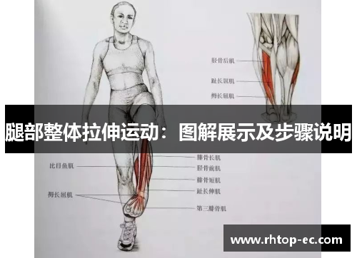 腿部整体拉伸运动：图解展示及步骤说明