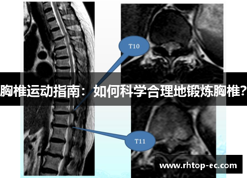 胸椎运动指南：如何科学合理地锻炼胸椎？