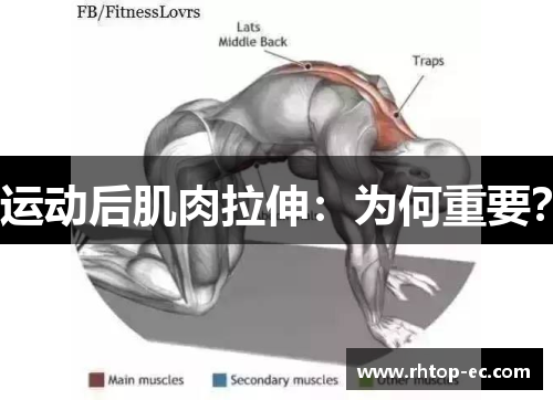 运动后肌肉拉伸：为何重要？