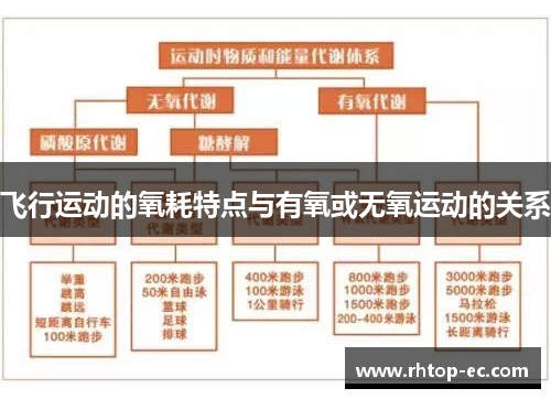 飞行运动的氧耗特点与有氧或无氧运动的关系